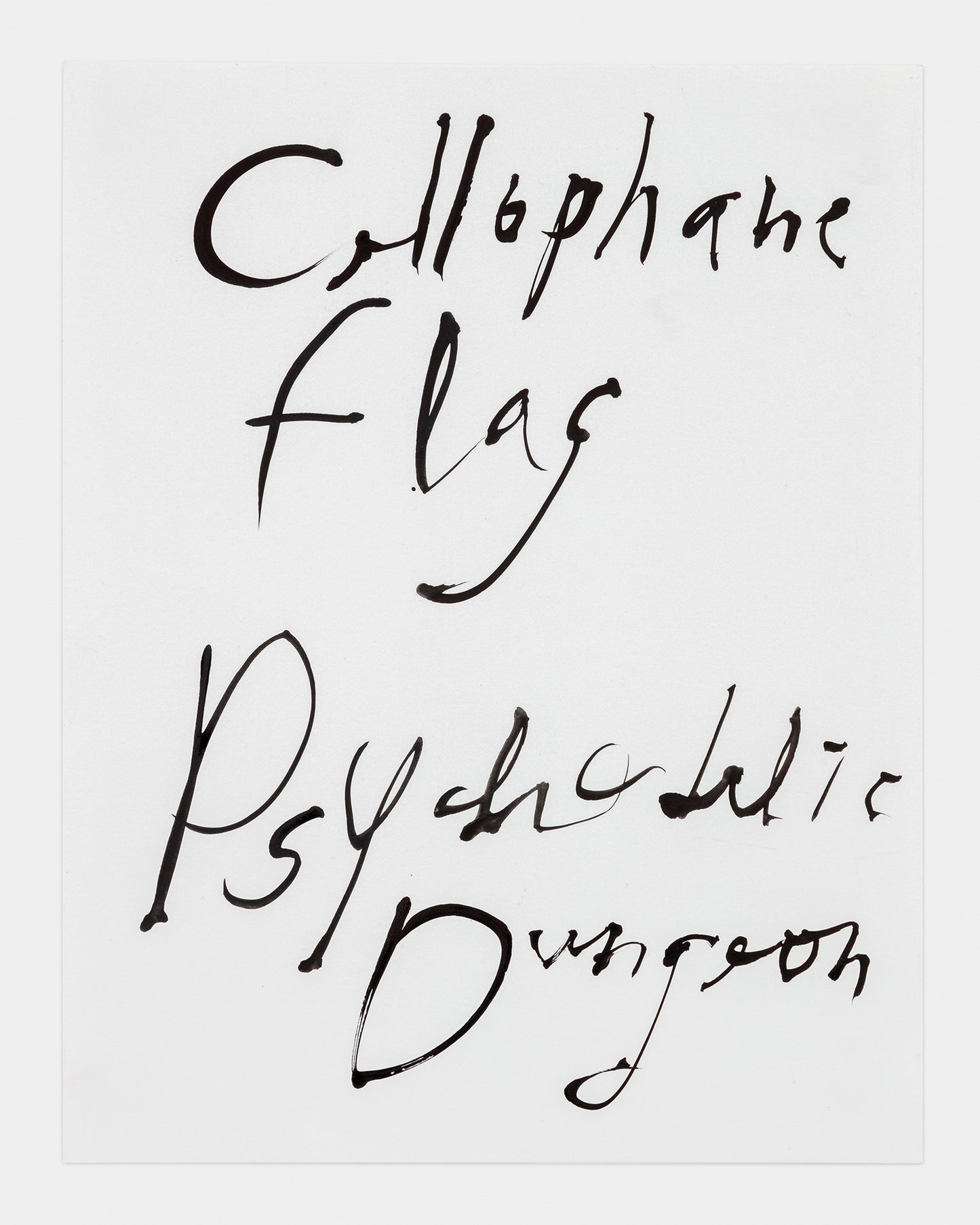 The Cellophane Flag
