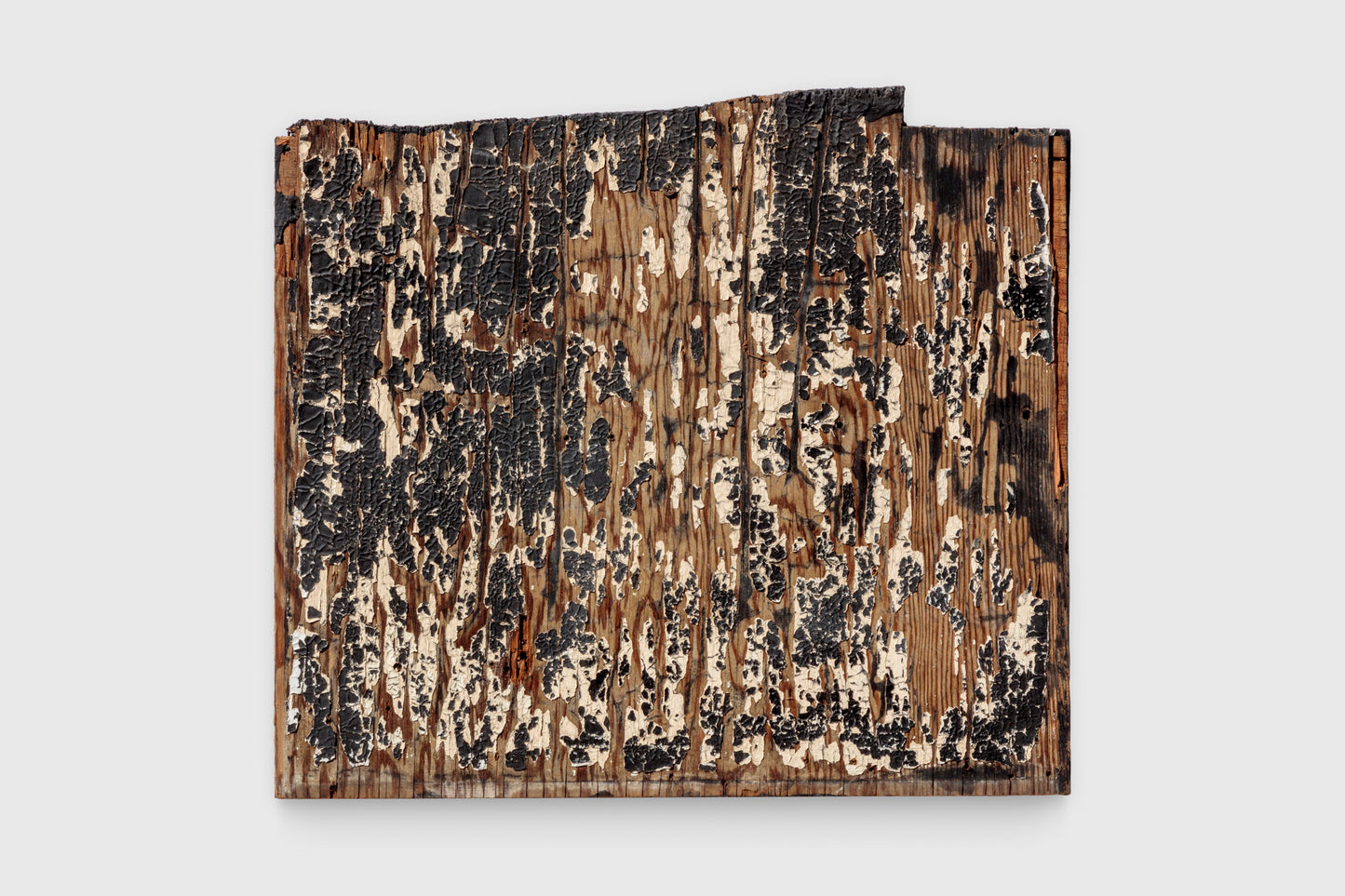 Albert Reyes - Untitled #07