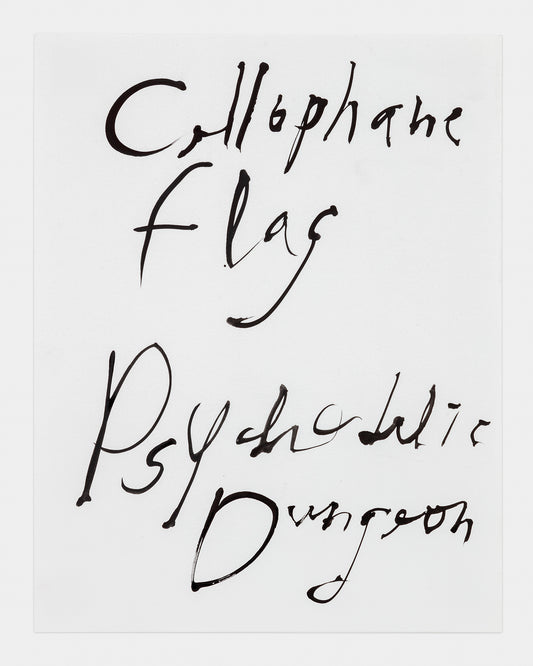 The Cellophane Flag