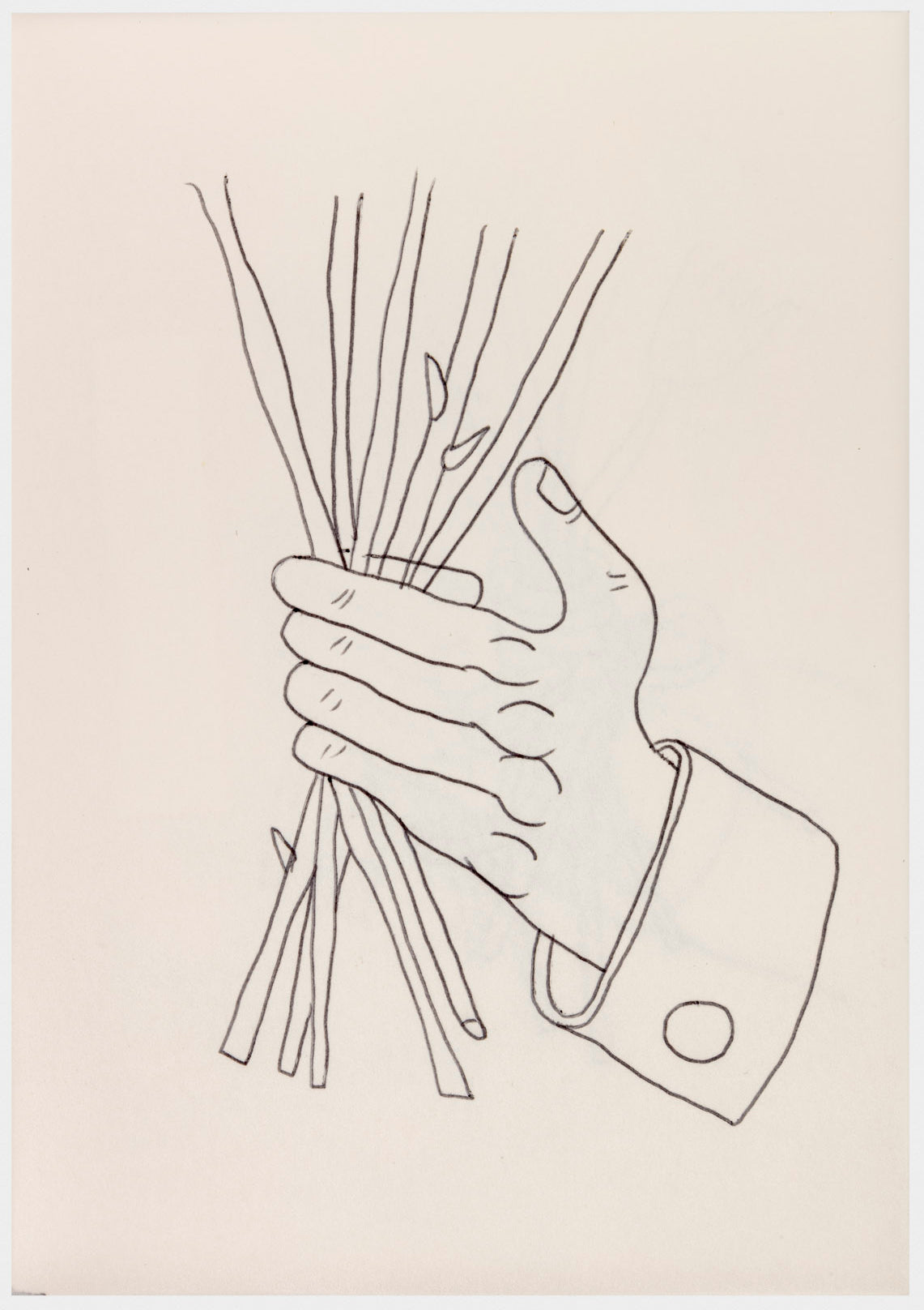062 - "Study of Flowers III" Drawing by Jim Mooijekind